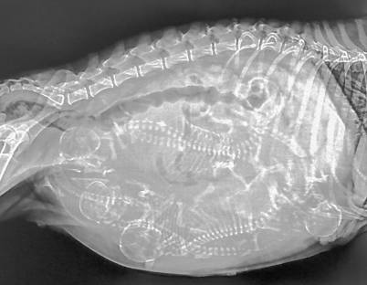 48378687_1943471582410989_1290506607225995264_o