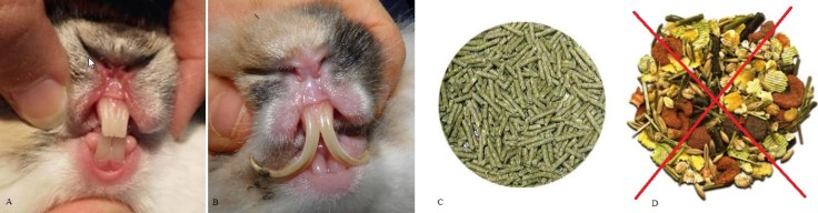 2020_07_17_15_16_01_Window