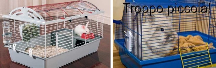 2020_07_17_15_21_42_Window